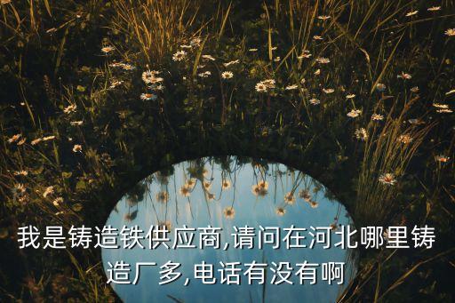 我是鑄造鐵供應(yīng)商,請(qǐng)問(wèn)在河北哪里鑄造廠多,電話有沒(méi)有啊