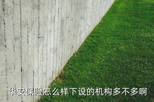  華安保險怎么樣下設(shè)的機(jī)構(gòu)多不多啊