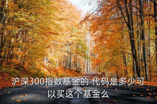 滬深300指數(shù)基金的 代碼是多少可以買這個(gè)基金么