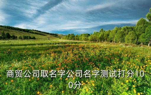 商貿(mào)公司取名字公司名字測(cè)試打分100分