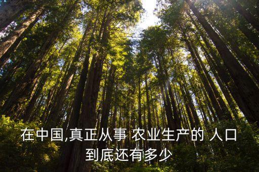 在中國,真正從事 農業(yè)生產的 人口到底還有多少