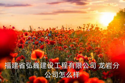 福建省弘巍建設工程有限公司 龍巖分公司怎么樣