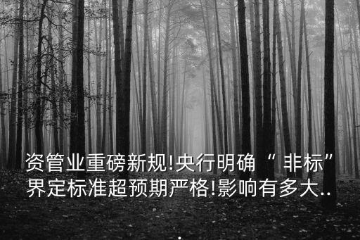 資管業(yè)重磅新規(guī)!央行明確“ 非標(biāo)”界定標(biāo)準(zhǔn)超預(yù)期嚴格!影響有多大...