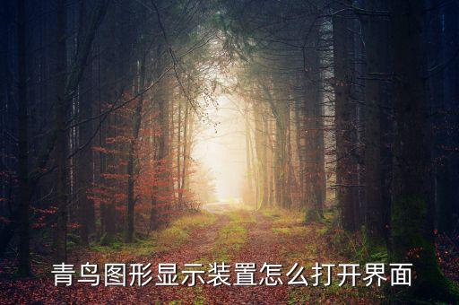  青鳥(niǎo)圖形顯示裝置怎么打開(kāi)界面