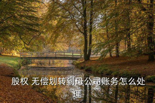  股權(quán) 無償劃轉(zhuǎn)到母公司賬務(wù)怎么處理