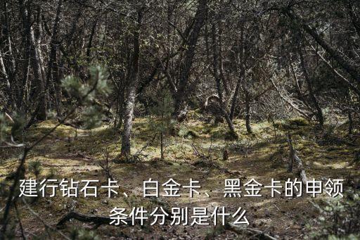  建行鉆石卡、白金卡、黑金卡的申領條件分別是什么