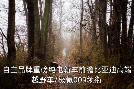 自主品牌重磅純電新車(chē)前瞻比亞迪高端越野車(chē)/極氪009領(lǐng)銜
