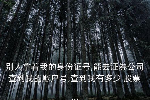 別人拿著我的身份證號(hào),能去證券公司查到我的賬戶(hù)號(hào),查到我有多少 股票...