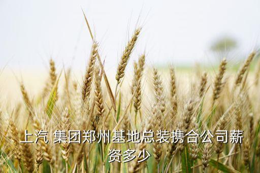  上汽 集團(tuán)鄭州基地總裝攜合公司薪資多少
