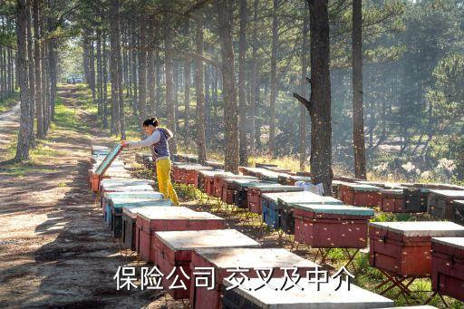 保險公司 交叉及中介