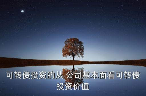 可轉(zhuǎn)債投資的從 公司基本面看可轉(zhuǎn)債投資價(jià)值