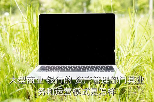 銀行理財(cái)資產(chǎn)管理系統(tǒng)開發(fā),銀行資產(chǎn)管理系統(tǒng)主要做什么