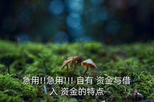 急用!!急用!!! 自有 資金與借入 資金的特點(diǎn)