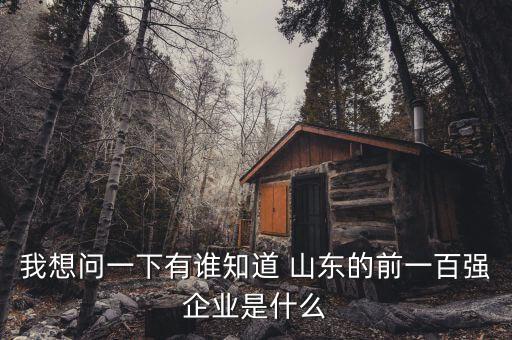 我想問(wèn)一下有誰(shuí)知道 山東的前一百?gòu)?qiáng)企業(yè)是什么