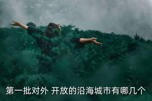 第一批對(duì)外 開(kāi)放的沿海城市有哪幾個(gè)