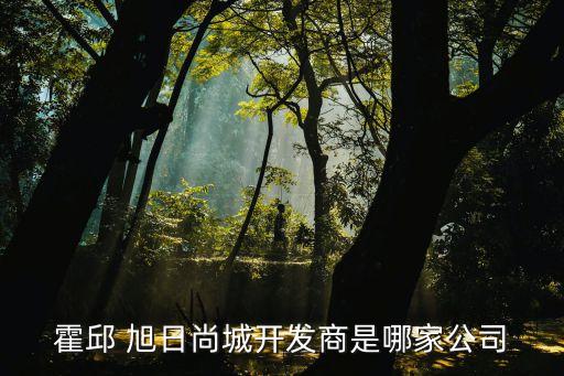 霍邱 旭日尚城開(kāi)發(fā)商是哪家公司