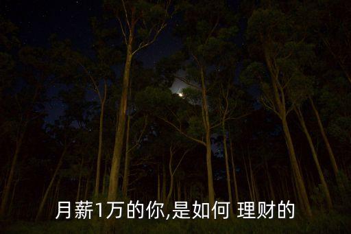工資一萬(wàn)怎么投資理財(cái),一萬(wàn)塊投資理財(cái)一月有多少