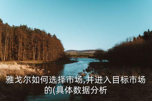 雅戈?duì)柸绾芜x擇市場(chǎng),并進(jìn)入目標(biāo)市場(chǎng)的(具體數(shù)據(jù)分析