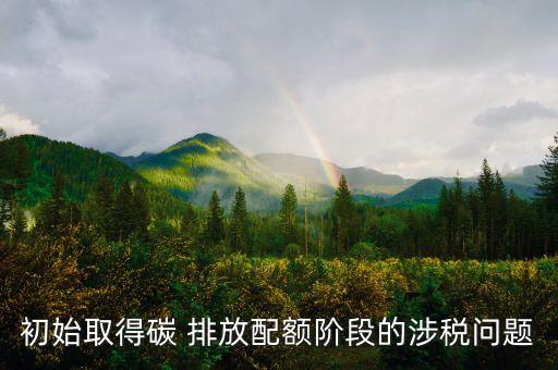 初始取得碳 排放配額階段的涉稅問(wèn)題
