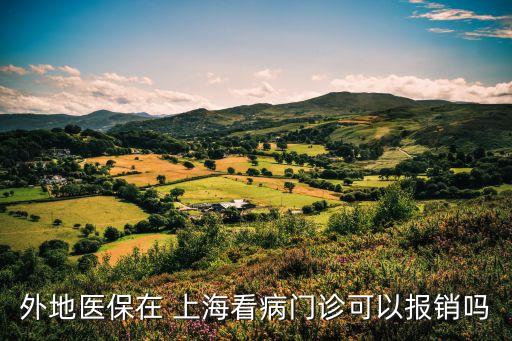 外地醫(yī)保在 上海看病門診可以報(bào)銷嗎