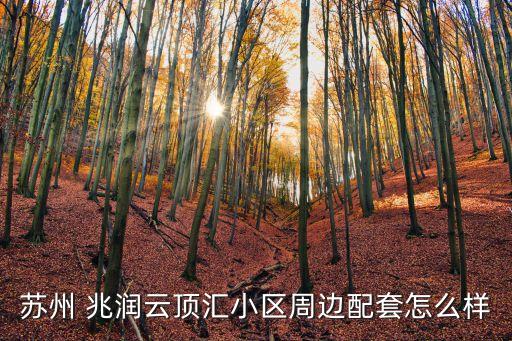 上海兆潤信息