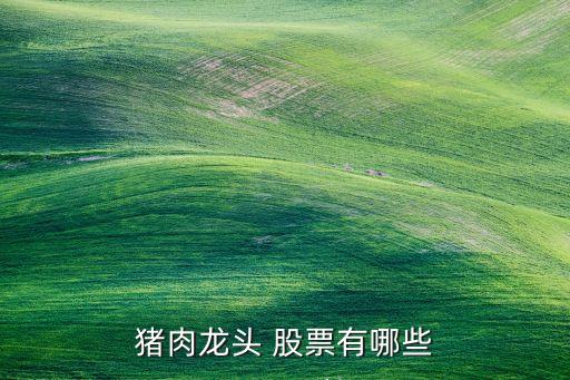 大市值股票,納斯達克前十大市值股票