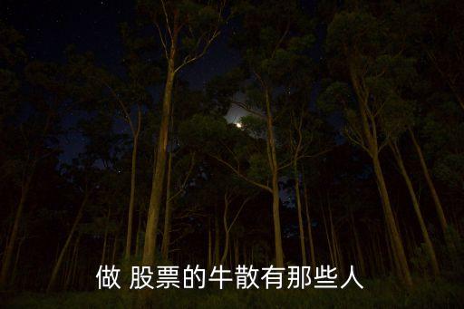 做 股票的牛散有那些人
