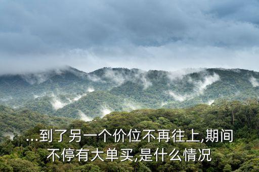 ...到了另一個價(jià)位不再往上,期間不停有大單買,是什么情況