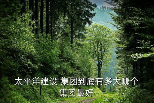  太平洋建設(shè) 集團到底有多大哪個 集團最好