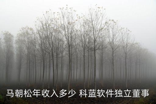 馬朝松年收入多少 科藍軟件獨立董事