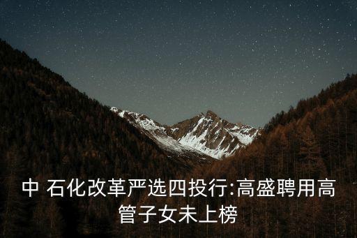 中 石化改革嚴(yán)選四投行:高盛聘用高管子女未上榜