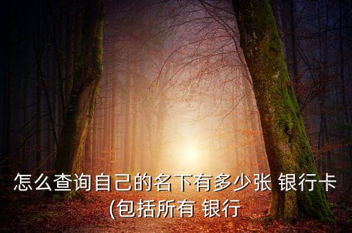 怎么查詢自己的名下有多少張 銀行卡(包括所有 銀行