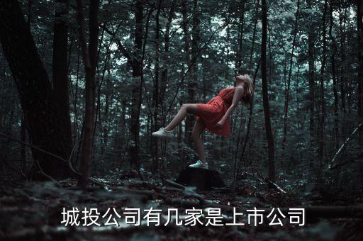 城投公司有幾家是上市公司