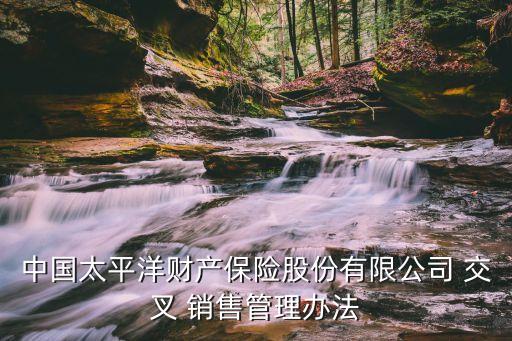 中國太平洋財產(chǎn)保險股份有限公司 交叉 銷售管理辦法