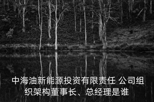  中海油新能源投資有限責任 公司組織架構董事長、總經理是誰