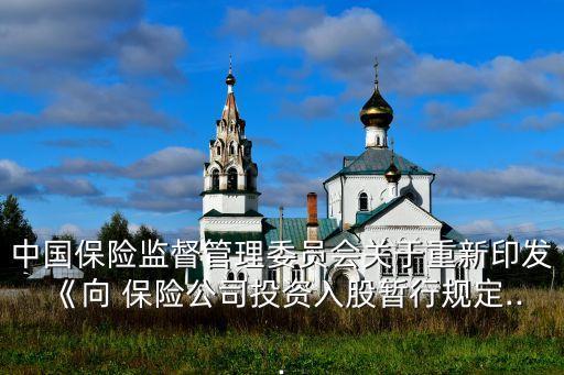 保險(xiǎn)公司的股東出資形式,股東可以采取的出資形式有哪些