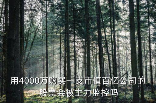 用4000萬購(gòu)買一支市值百億公司的 股票會(huì)被主力監(jiān)控嗎