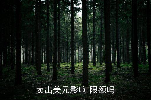 中國(guó)換匯限額,換匯限額是從什么時(shí)候開始算的