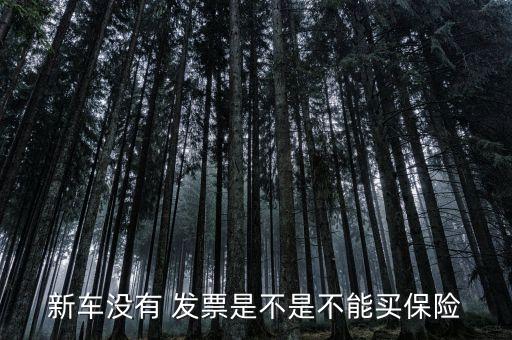 新車沒有 發(fā)票是不是不能買保險(xiǎn)