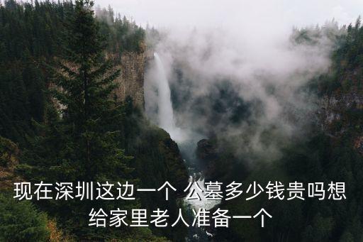 現(xiàn)在深圳這邊一個 公墓多少錢貴嗎想給家里老人準(zhǔn)備一個