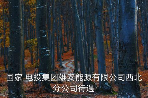 國家 電投集團(tuán)雄安能源有限公司西北分公司待遇
