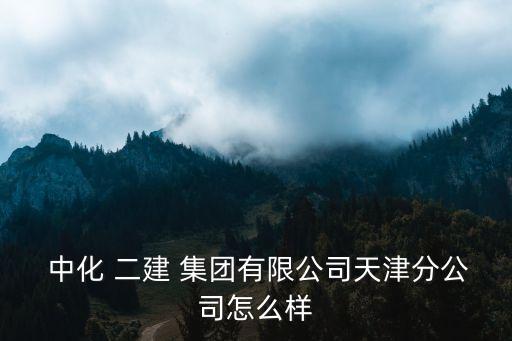  中化 二建 集團(tuán)有限公司天津分公司怎么樣