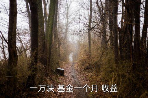 一萬塊 基金一個(gè)月 收益
