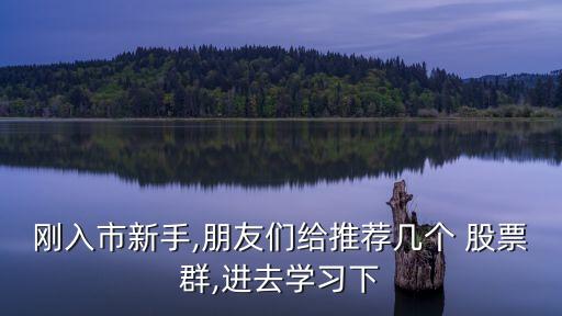 剛?cè)胧行率?朋友們給推薦幾個 股票群,進去學習下