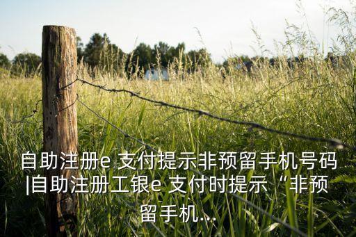 工商銀行e支付注冊(cè)