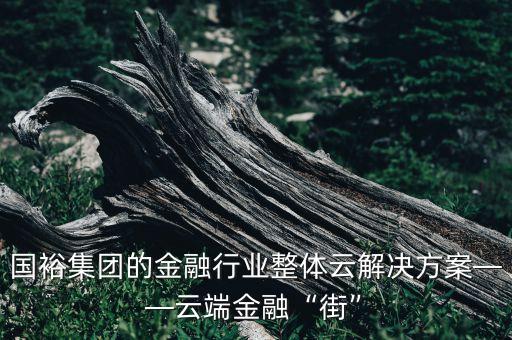 國裕集團的金融行業(yè)整體云解決方案——云端金融“街”