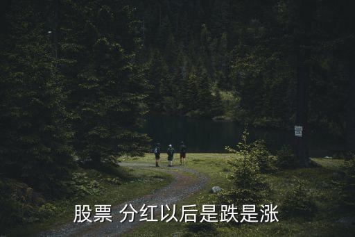 基金分紅后會漲,基金090001分紅公告