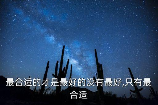 最合適的才是最好的沒有最好,只有最合適