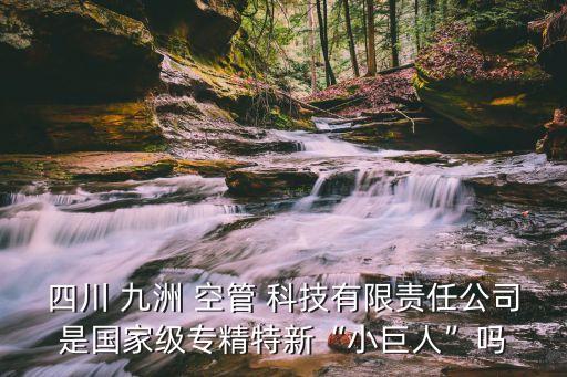 四川 九洲 空管 科技有限責(zé)任公司是國(guó)家級(jí)專精特新“小巨人”嗎