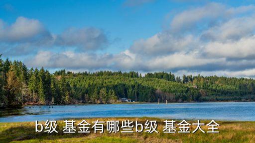 b級 基金有哪些b級 基金大全